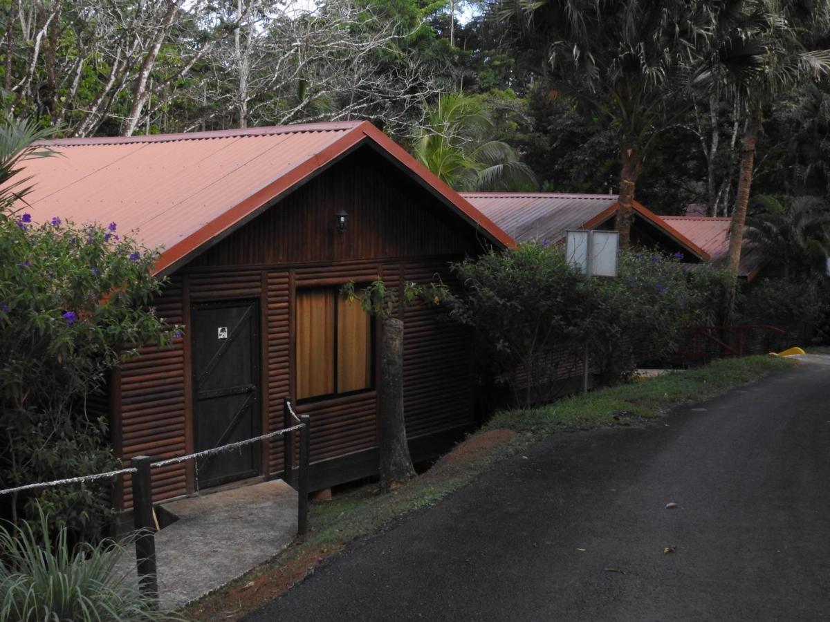 Hotel Pedacito De Cielo Boca Tapada エクステリア 写真