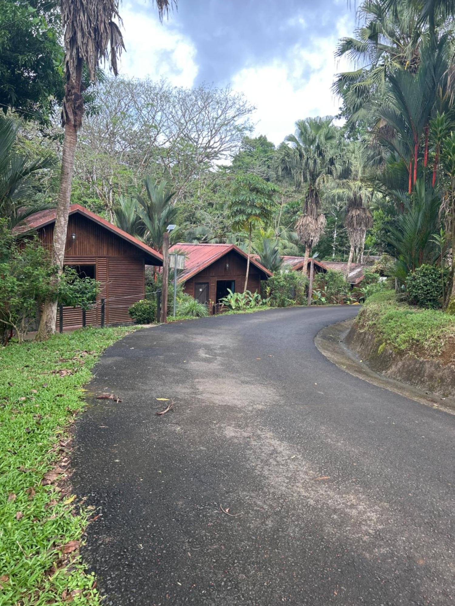 Hotel Pedacito De Cielo Boca Tapada エクステリア 写真