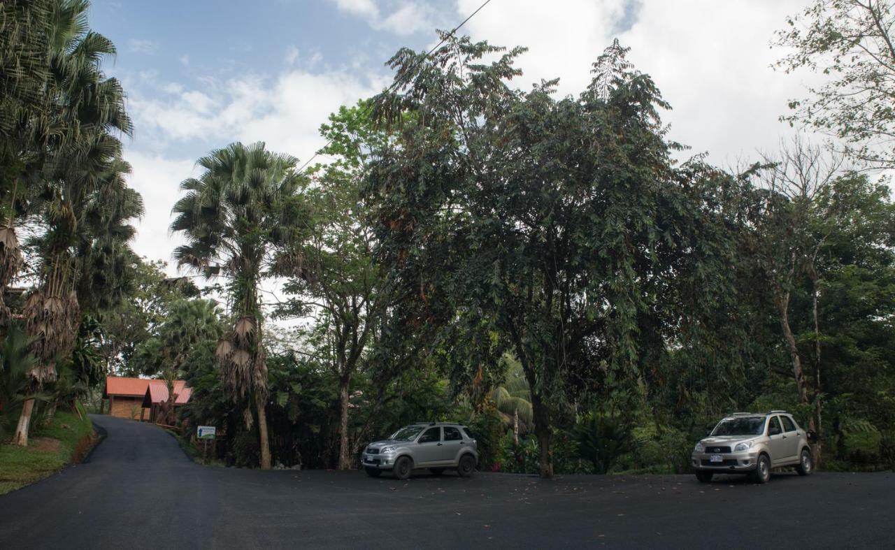 Hotel Pedacito De Cielo Boca Tapada エクステリア 写真